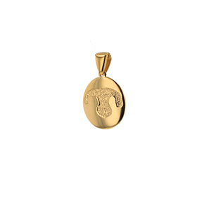 Custom Print Charm - 14K Yellow Gold - Nose-image